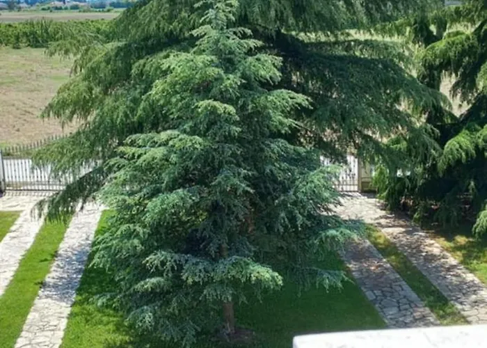 Large Garden Family Apartment *