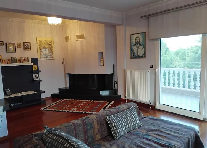 Apartment Large Garden Family Paralia Katerinis