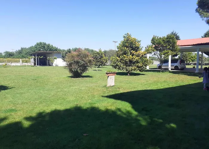 Large Garden Family Paralia Katerinis