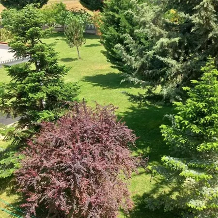 דירה Large Garden Family