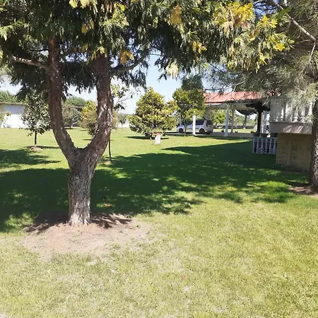 Large Garden Family דירה *