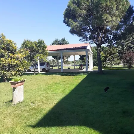 Large Garden Family דירה